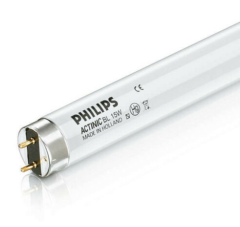 VLIEGEN, TL BUIS 15W/10 UV-A PHILIPS INSECT T8, TL-LAMP